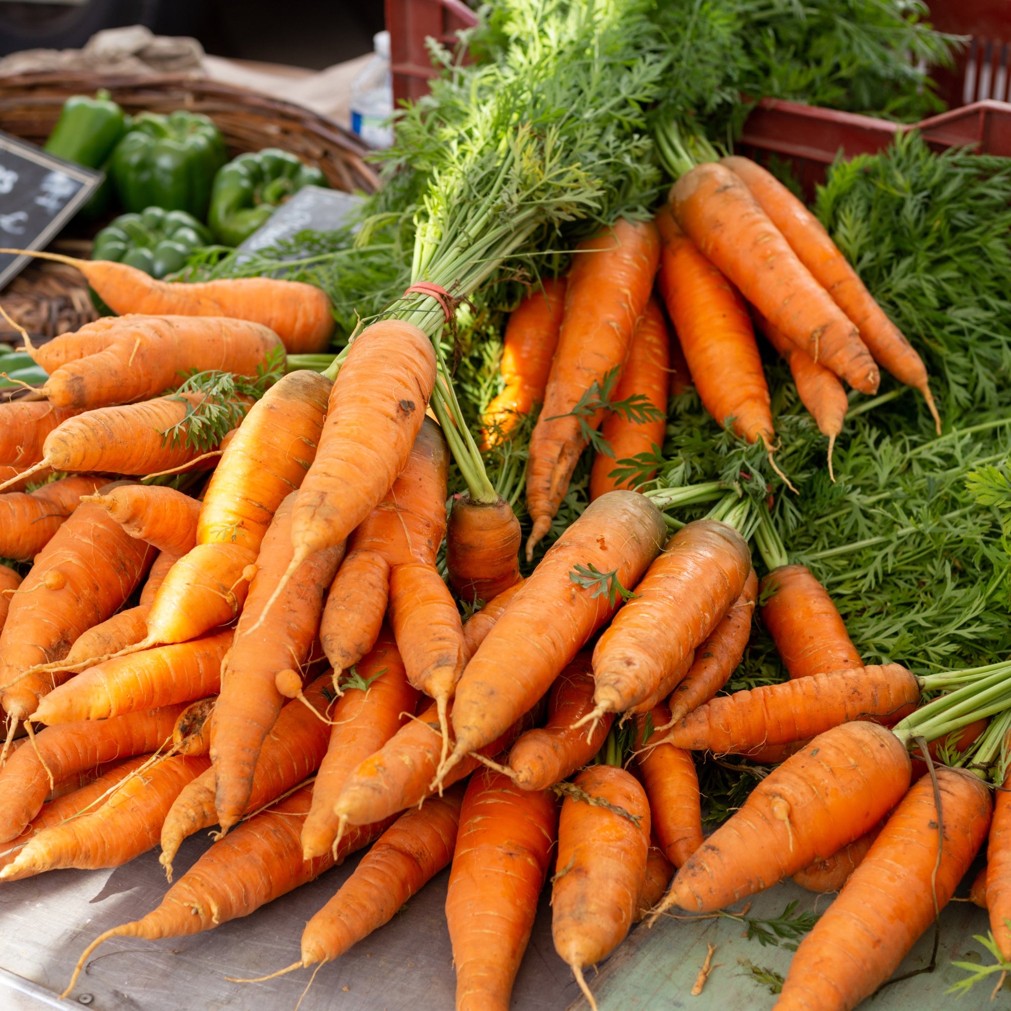 Premium Carrot Seeds: Grow Sweet, Crunchy Carrots