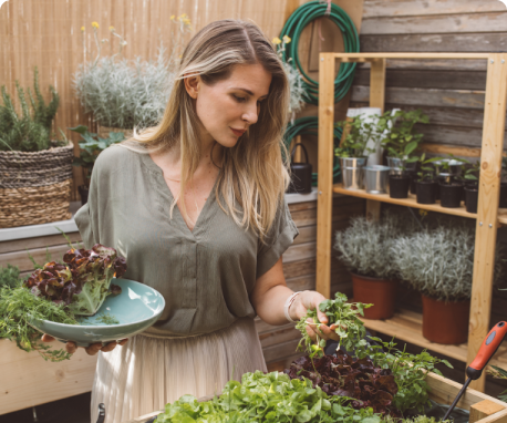 Seasonal Vegetables: What to Plant and When for Year-Round Harvest