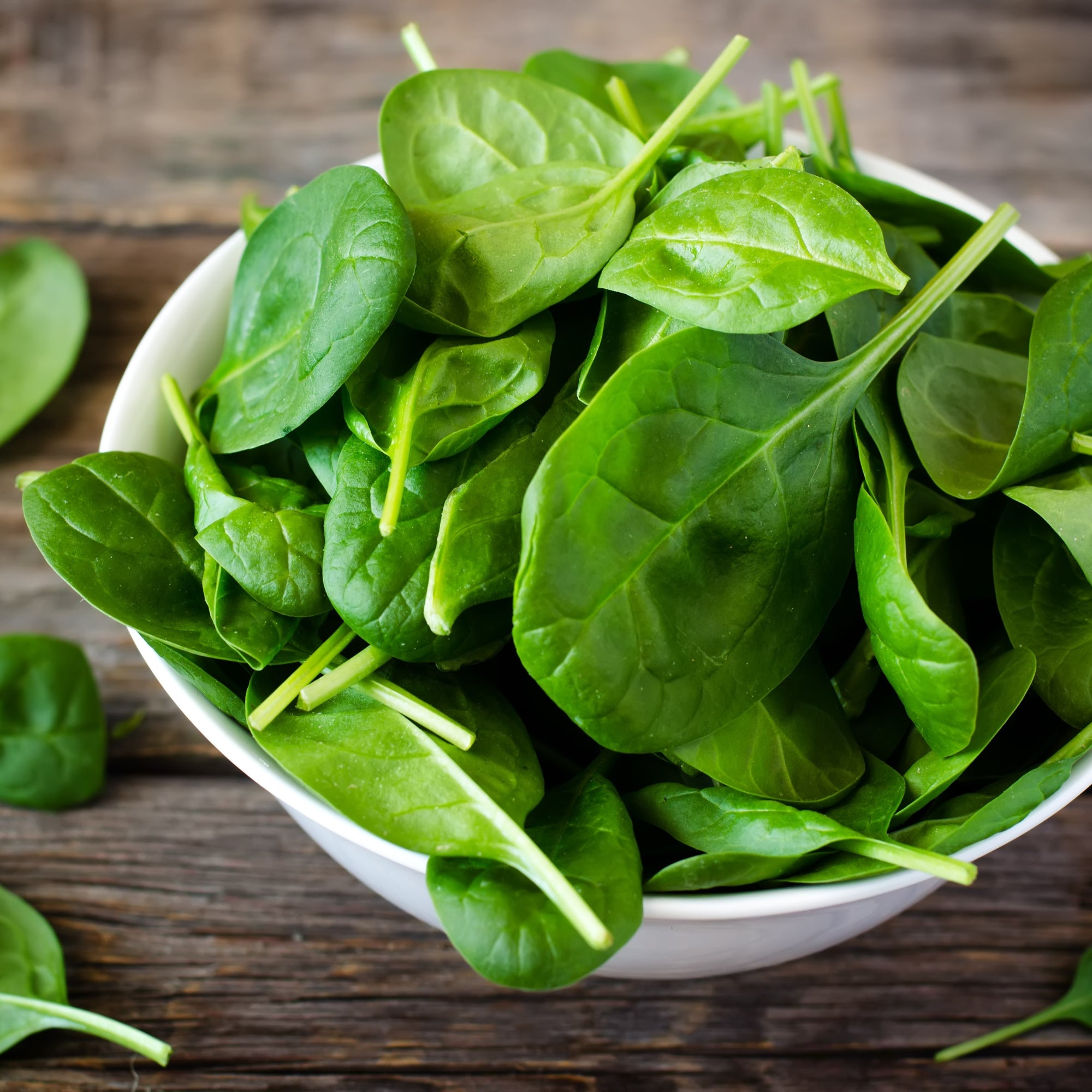 Premium Spinach Seeds: Grow Nutritious, Tender Greens