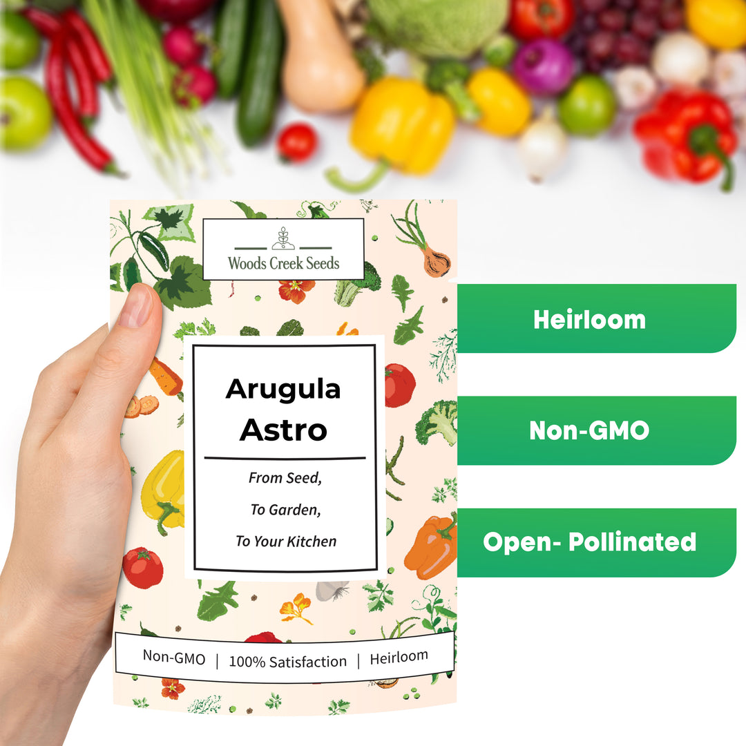 Organic Arugula Astro Seeds – ideal for containers, raised beds, or backyard gardens