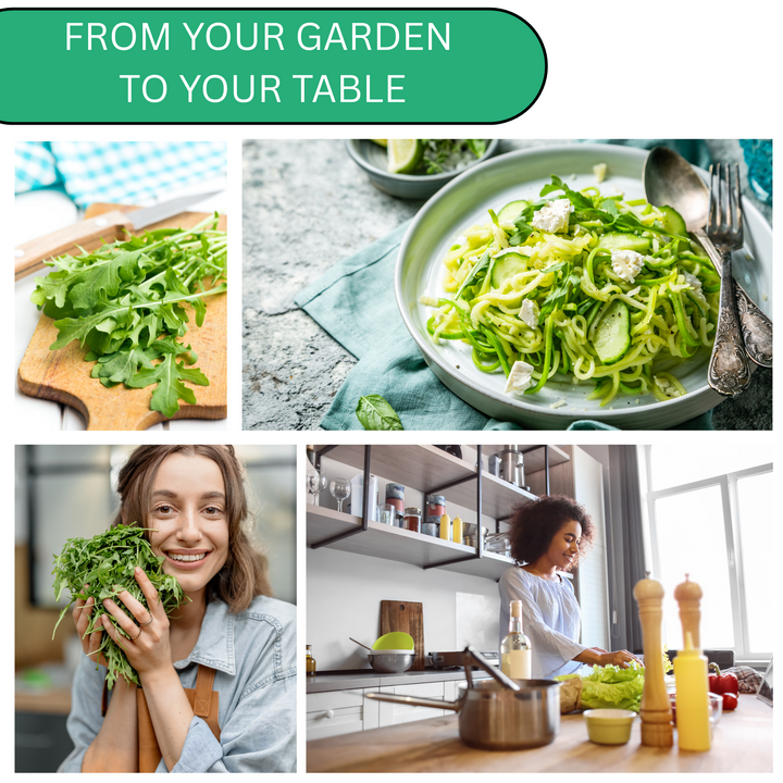"Fresh-picked Astro arugula leaves with smooth texture and mild peppery taste – grown from seed