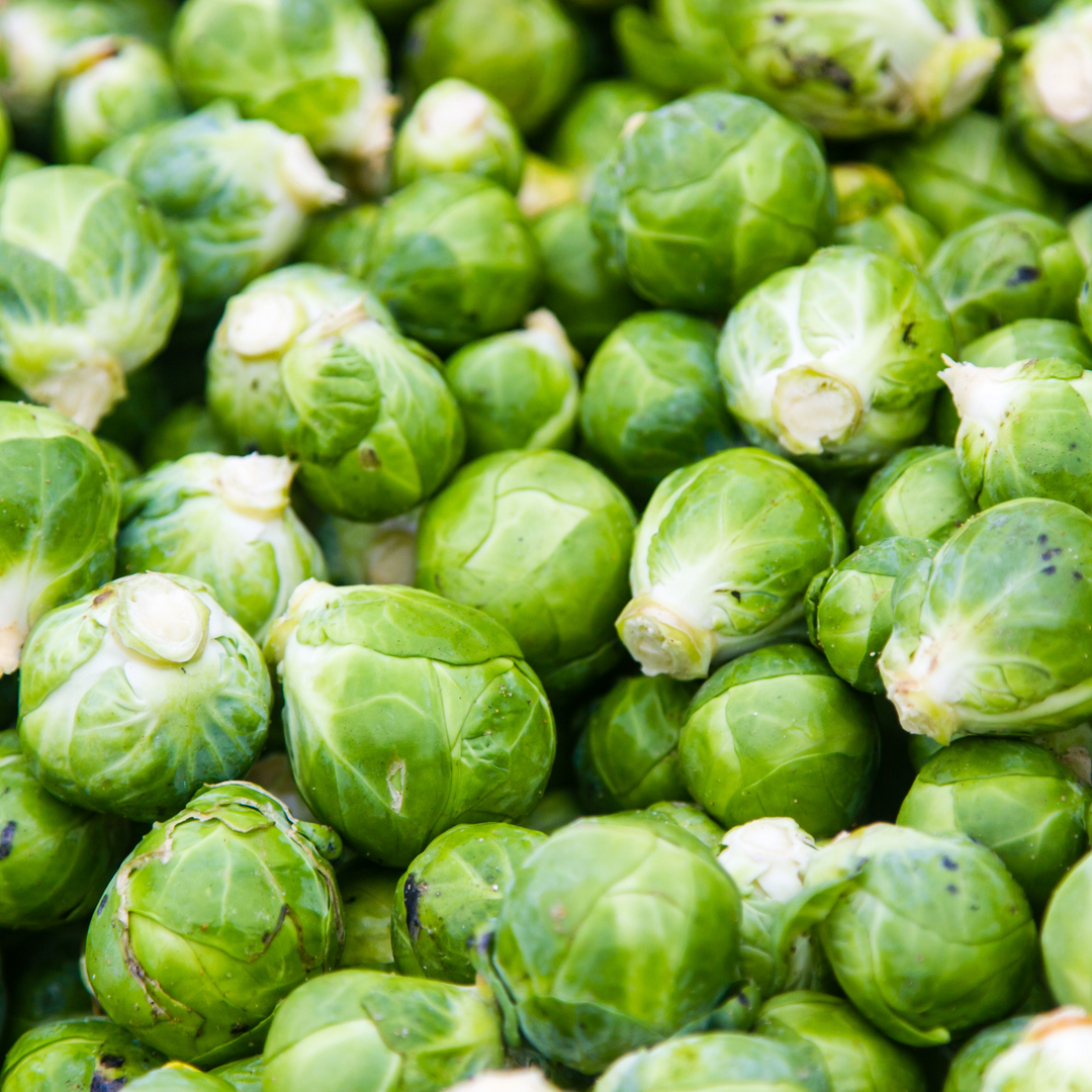 Long island Improved Brussels Sprouts Seeds