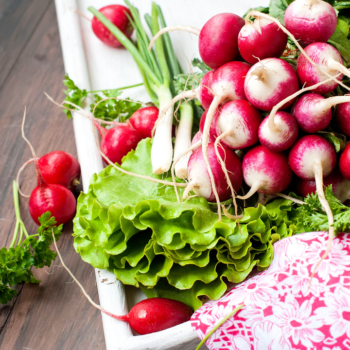 Champion Radish Seeds