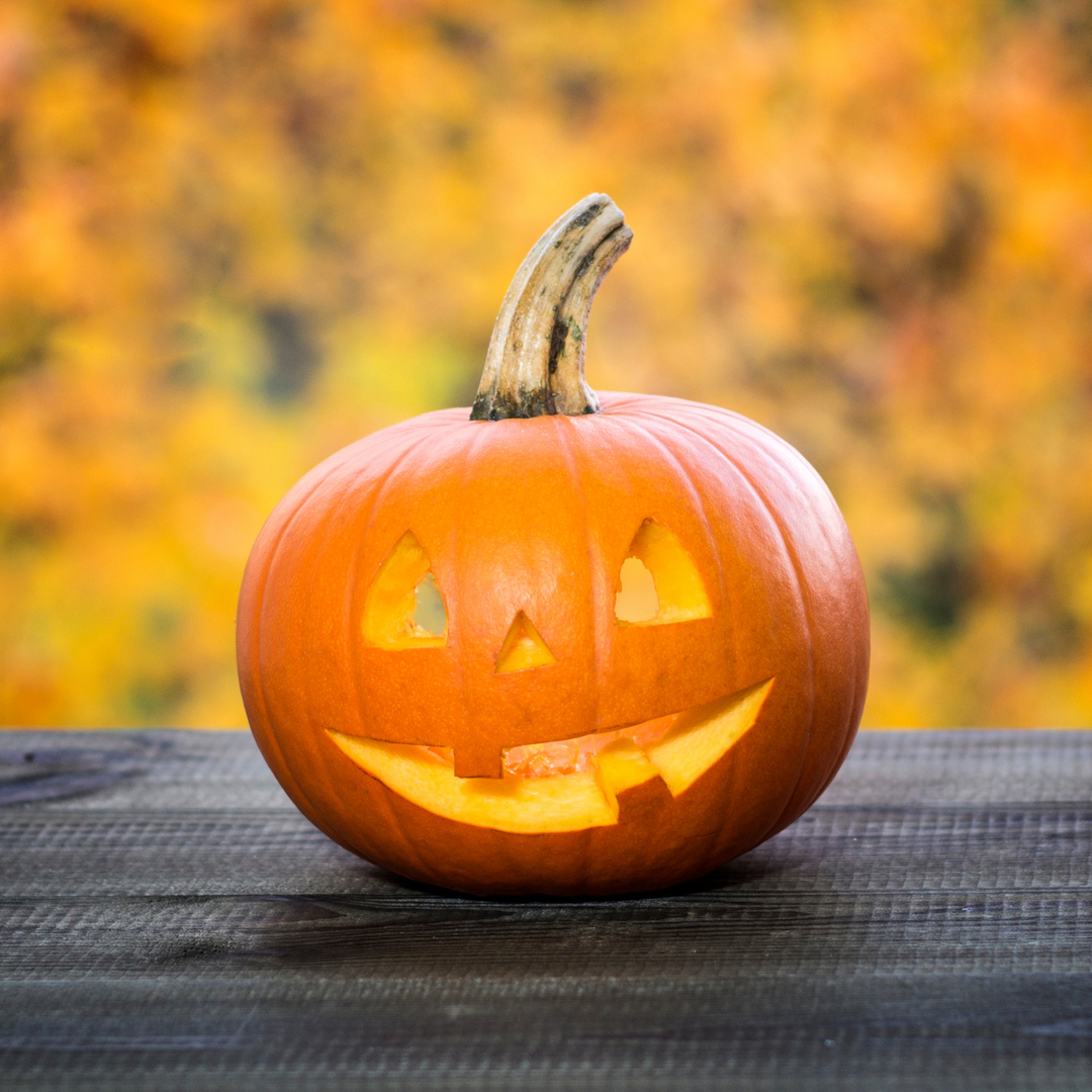 Jack O' Lantern Pumpkin Seeds - Heirloom, Non-GMO Seeds For 2025 Growing Season (Free Shipping)