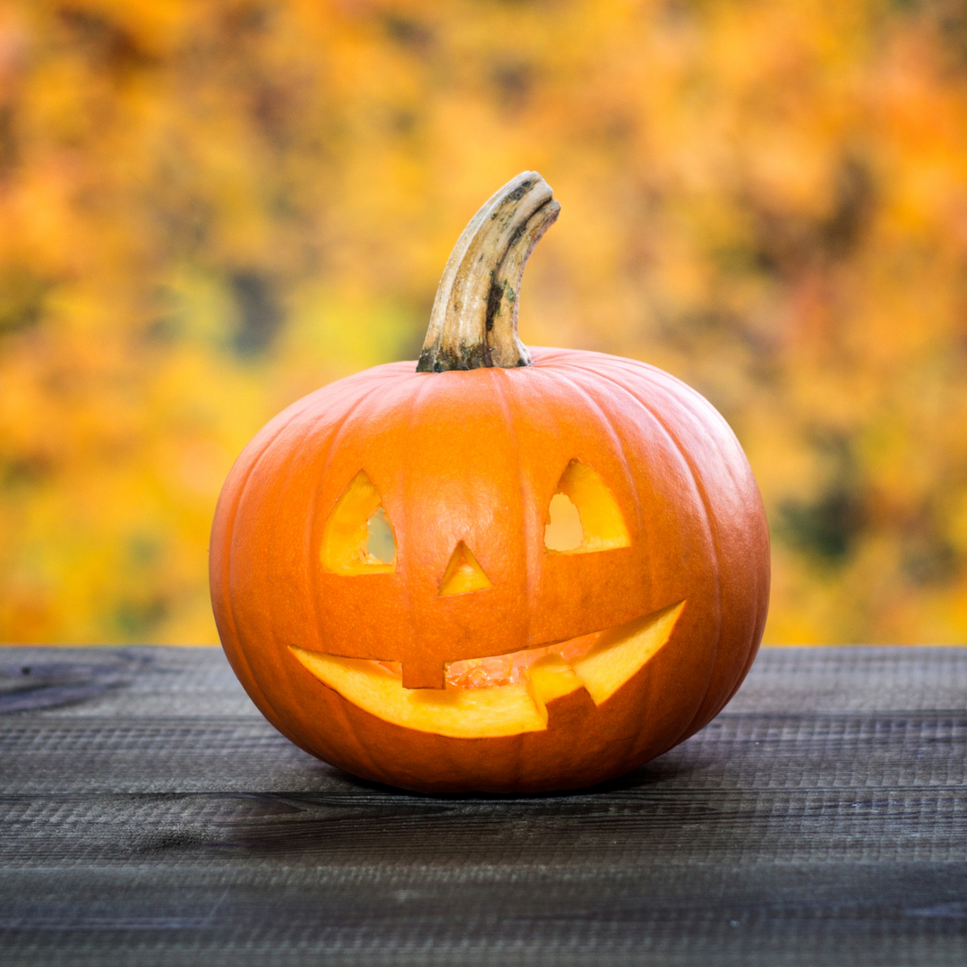 Jack O Lantern Pumpkin Seeds