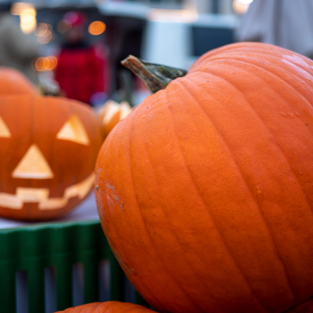 Jack O Lantern Pumpkin Seeds