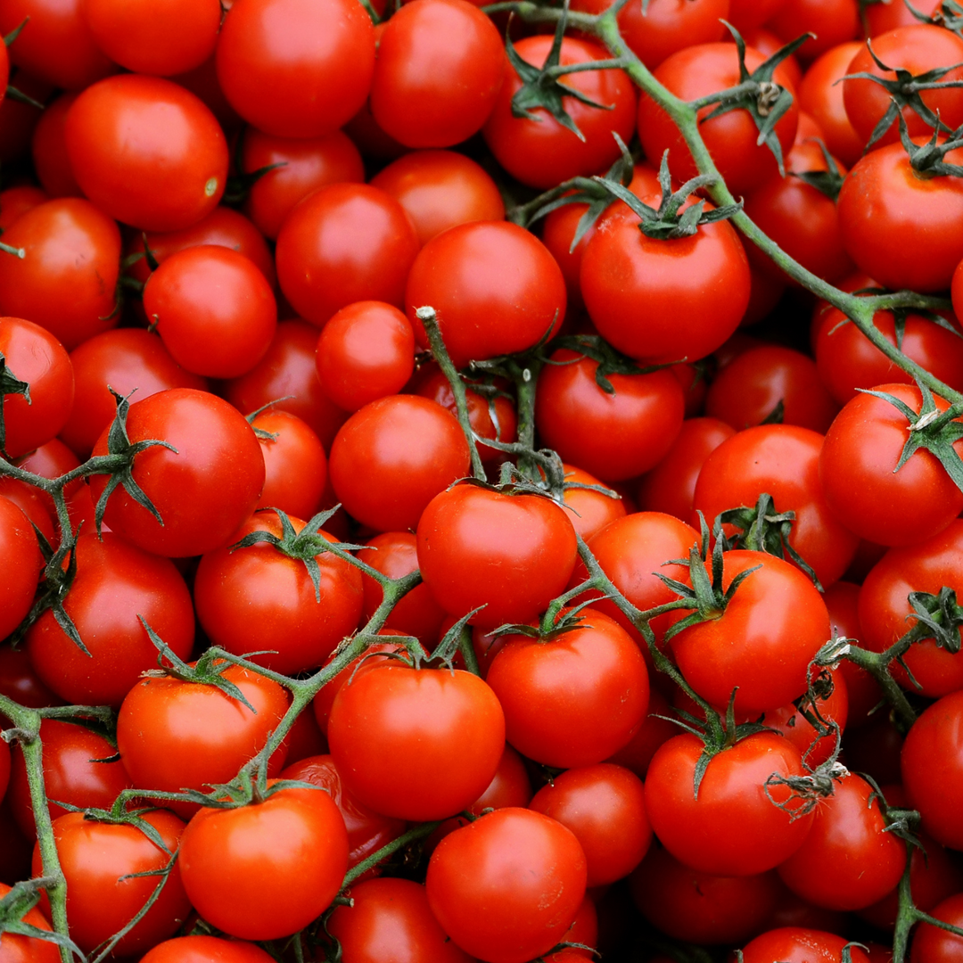 Large Red Cherry Tomato Seeds