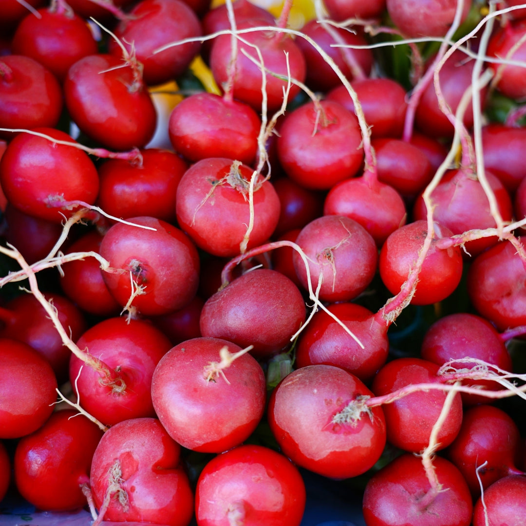 Cherry Belle Radish Seeds