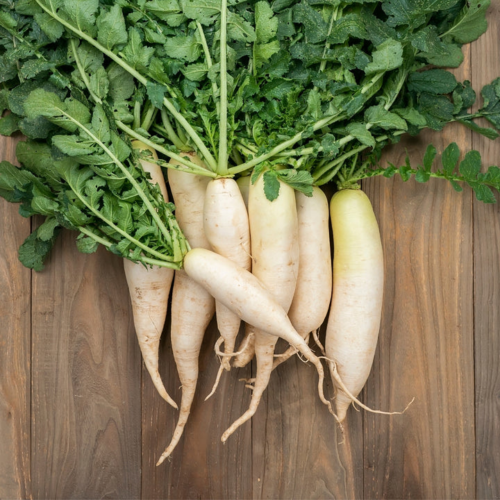 Daikon Minowase (Japanese Radish) Seeds