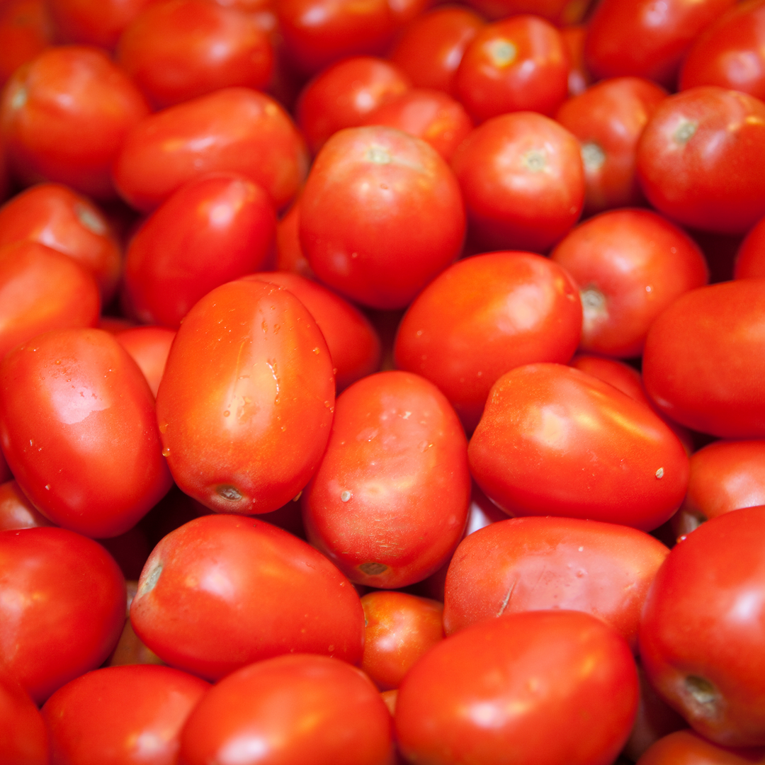 Roma VF Tomato Seeds