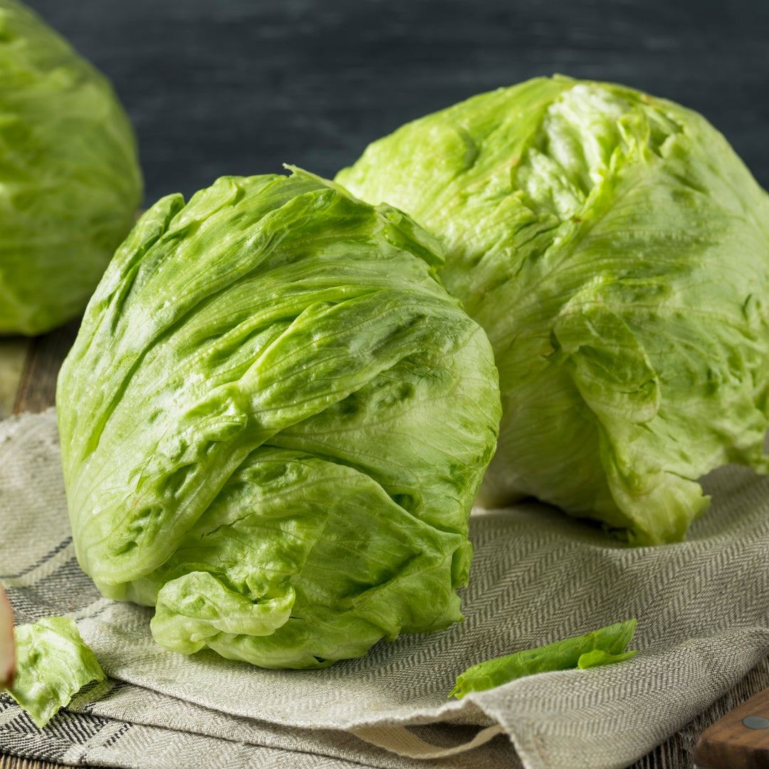 Crisphead Iceberg Lettuce Seeds