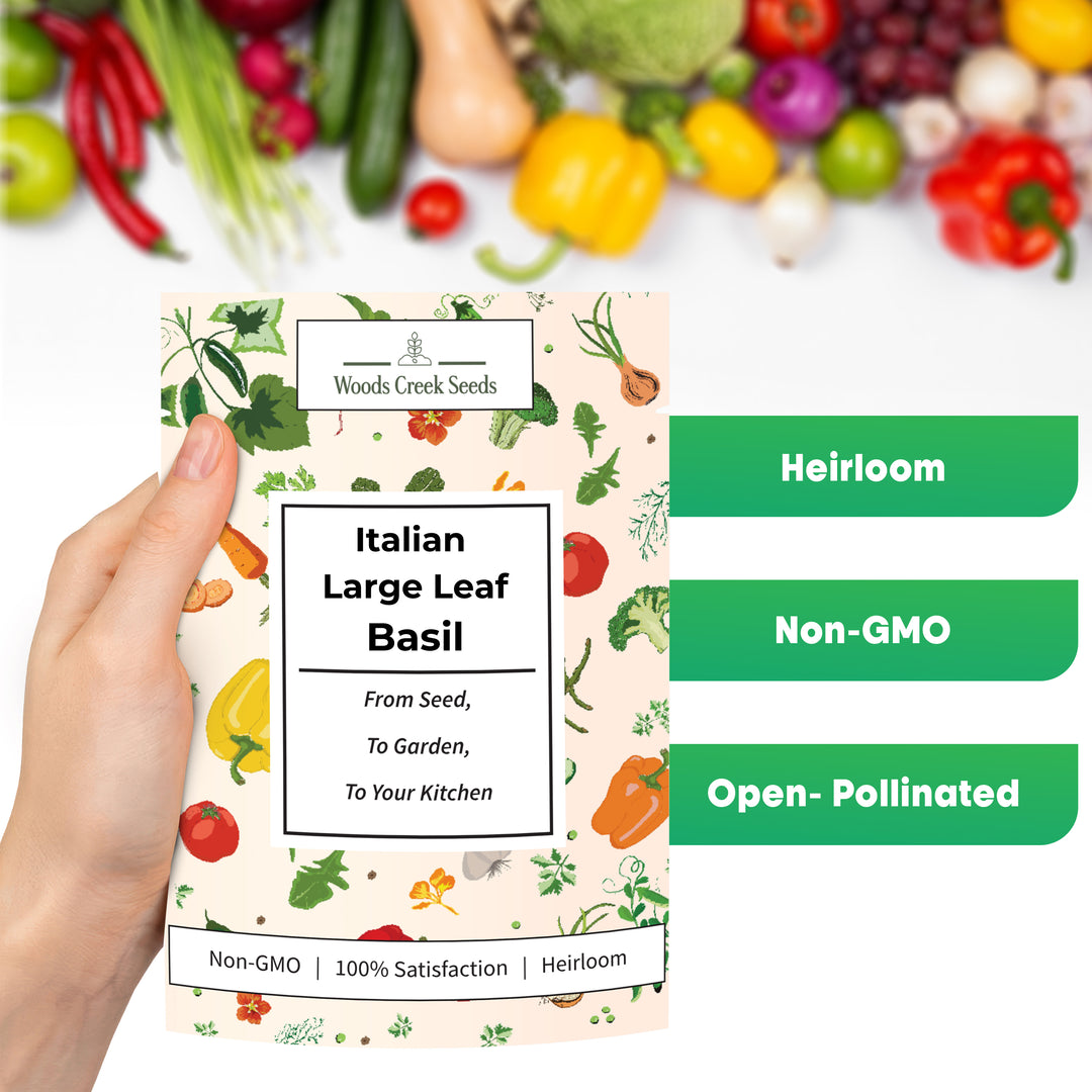 Front of Italian Large Leaf Basil seed packet featuring heirloom, open-pollinated, and non-GMO certification
