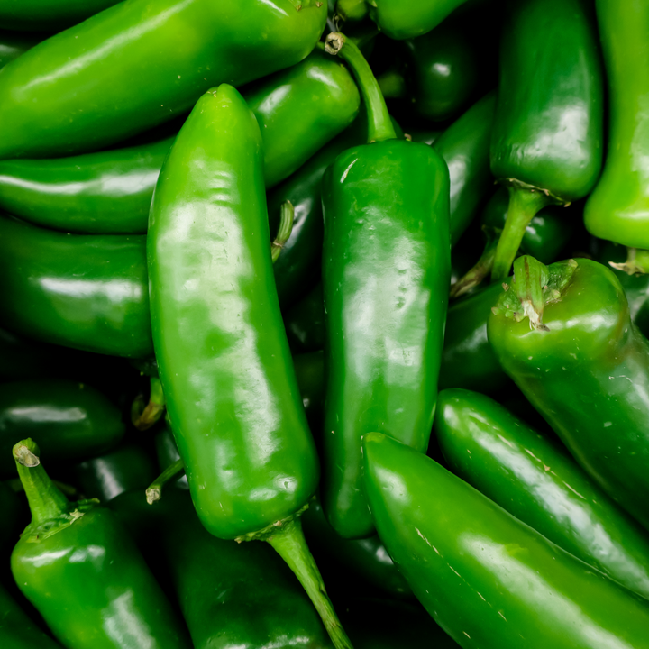 Jalapeno TAM Pepper Seeds