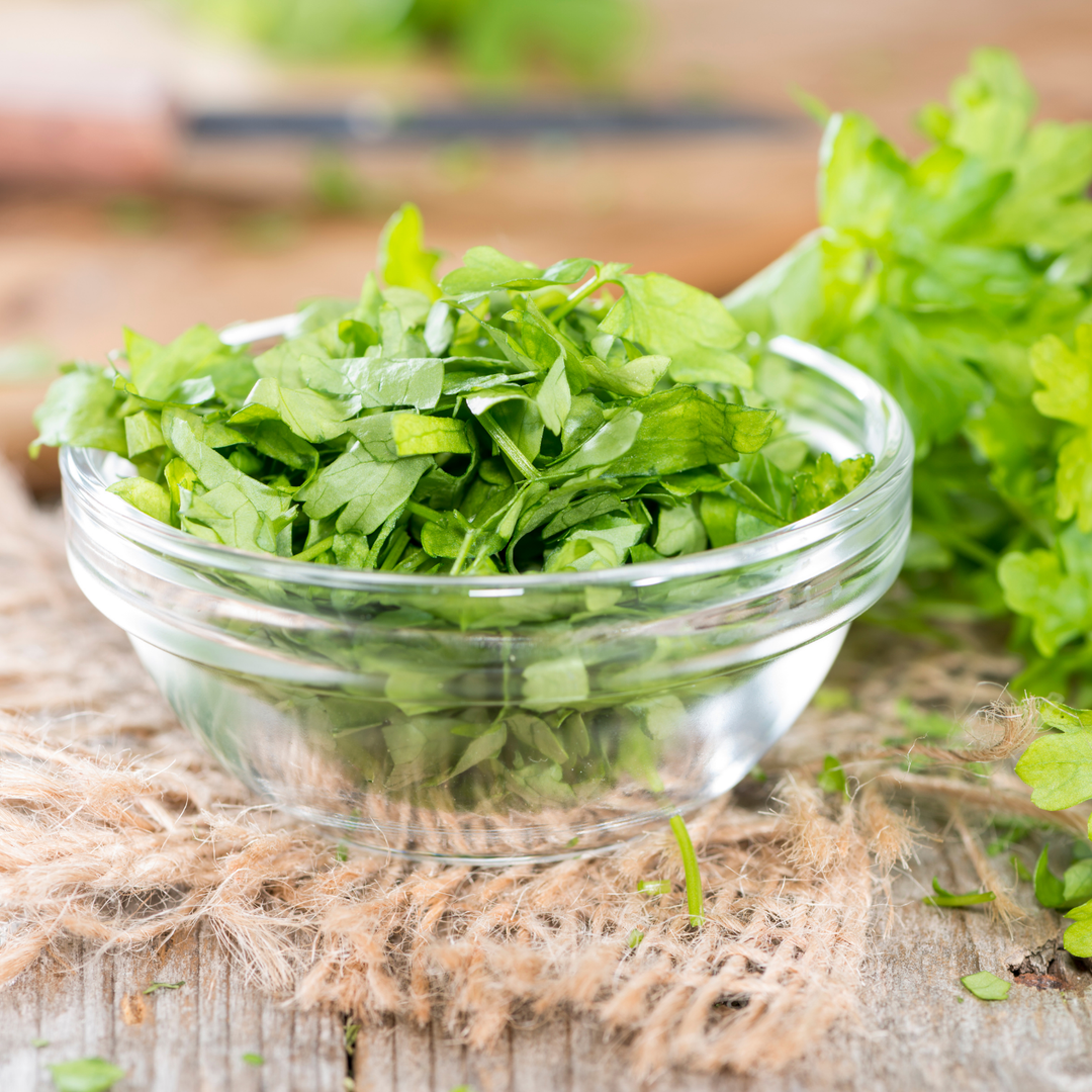 Italian Flat Leaf Parsley Seeds