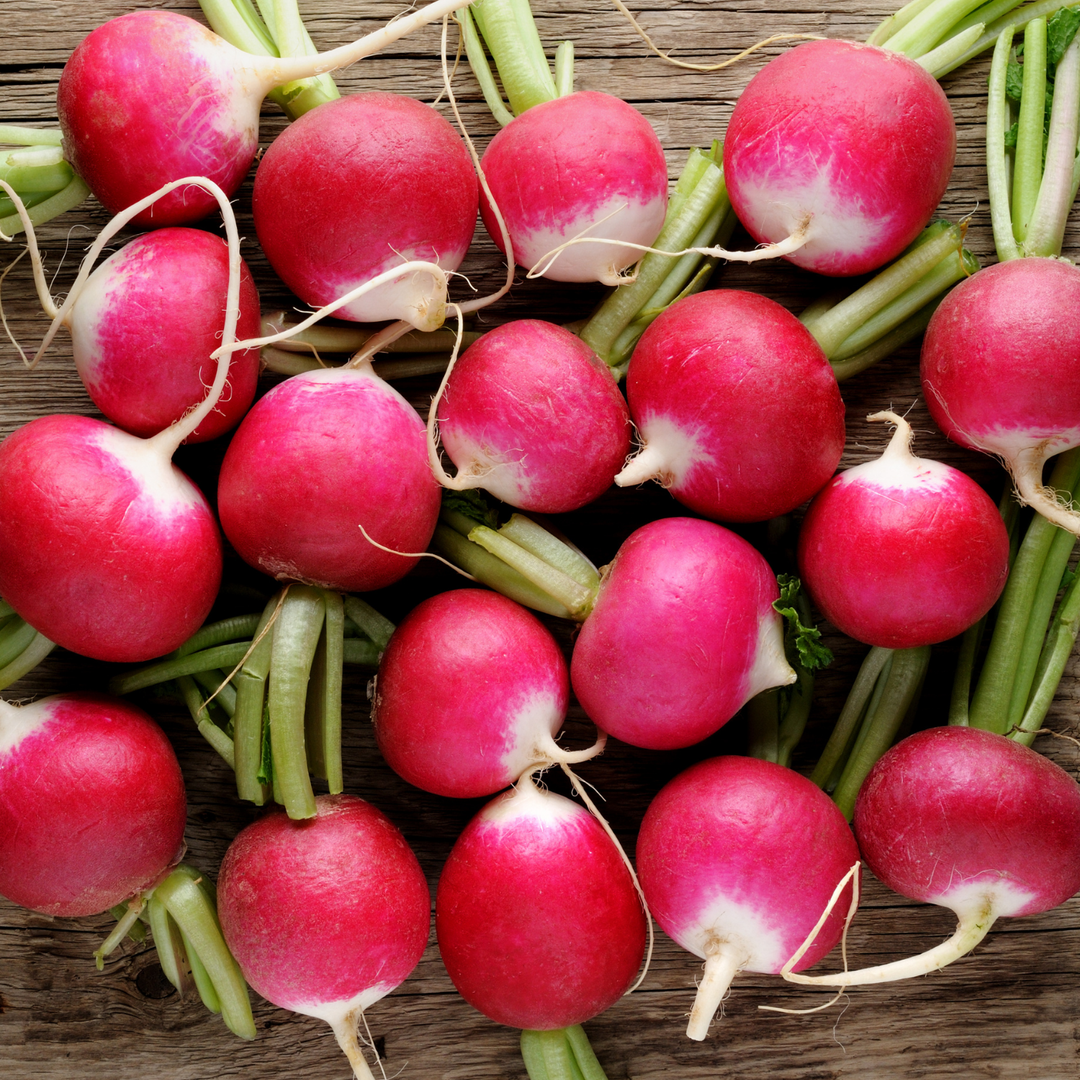 Champion Radish Seeds