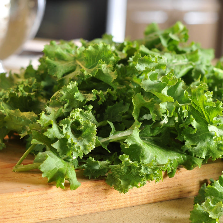 Dwarf Siberian Kale Seeds