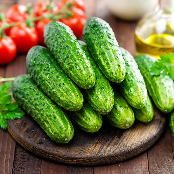 Beit Alpha CMR/MMR Cucumber Seeds